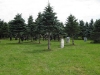 Sherwood Forest